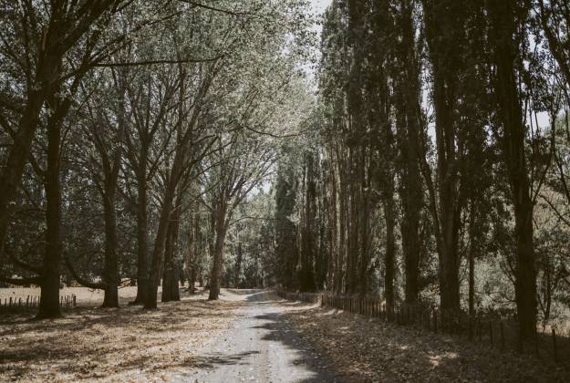 Intimate wedding setup at Rathmoy Estate lodge